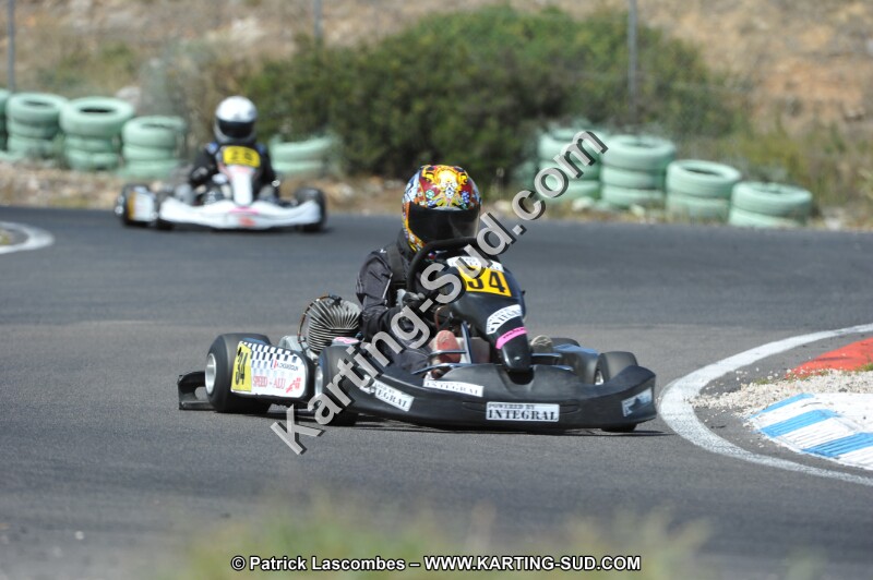 DSC (3019).JPG